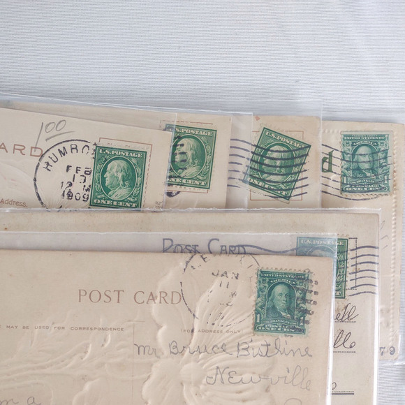 Set of 12 Antique Early 1900s Embossed Flower Postcards, Glitter Rose Sunflower+ - Picture 6 of 6